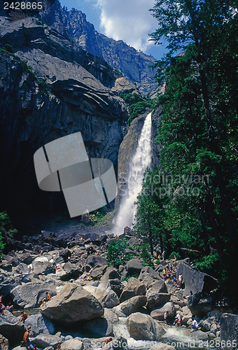 Image of Yosemite National Park