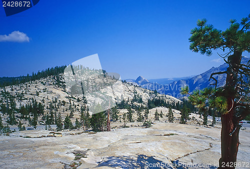 Image of Yosemite National Park