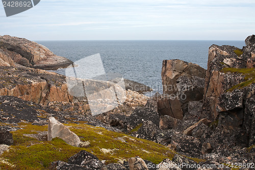 Image of rocky sea shore