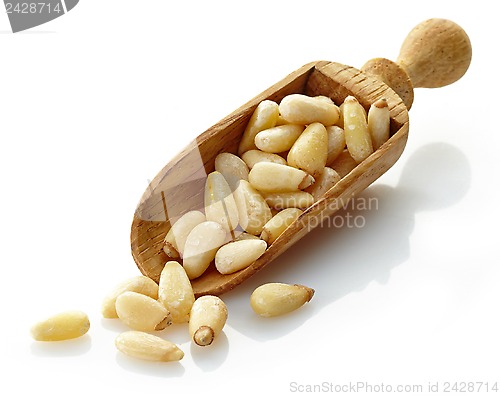 Image of wooden scoop with pine nuts