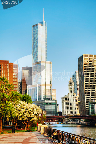Image of Trump International Hotel and Tower in Chicago, IL in morning
