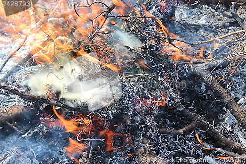 Image of Fire in the field