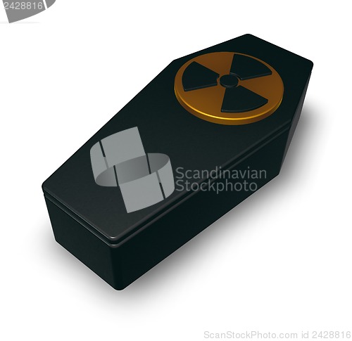 Image of nuclear coffin