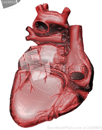 Image of Heart Organ