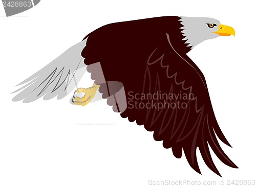 Image of Bald Eagle Flying