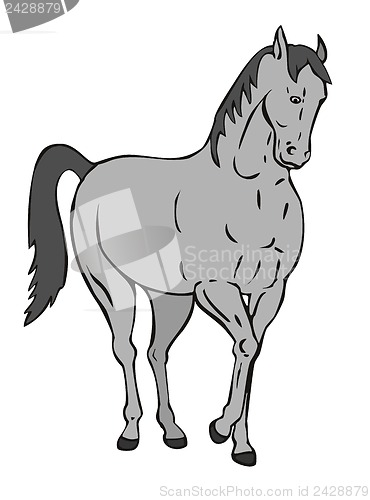 Image of Horse Standing Retro