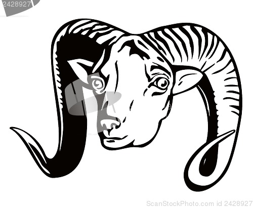 Image of Argali Retro