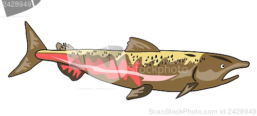 Image of Chinook Salmon Fish Retro
