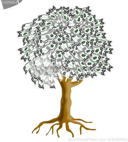 Image of Money Tree