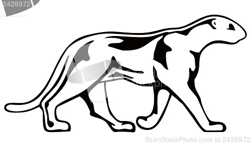 Image of Panther Walking