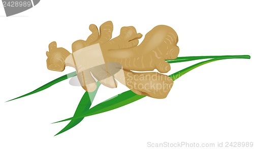 Image of Leaf Ginger Retro