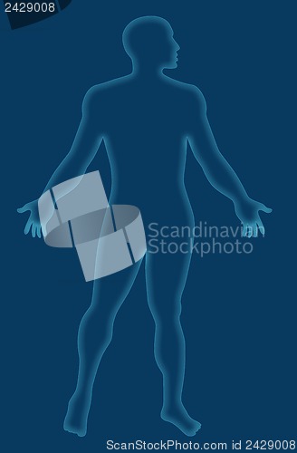 Image of Male Human Anatomy Outline Blue