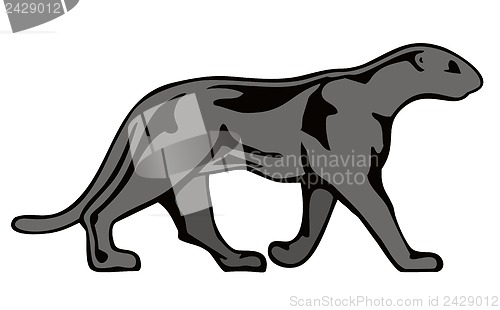 Image of Panther Walking