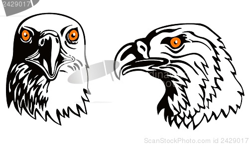 Image of Eagle Head