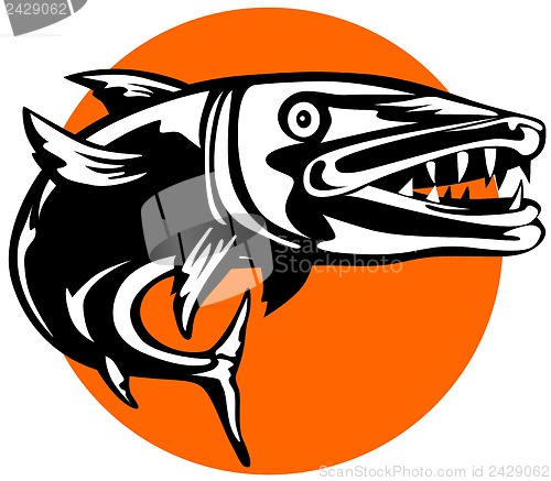 Image of Barracuda Retro