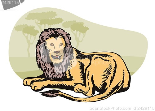 Image of Lion Big Cat Retro