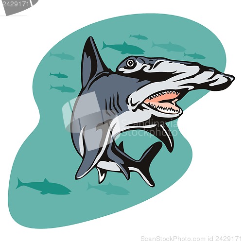 Image of Hammerhead Shark