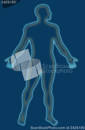 Image of Male Human Anatomy Outline Blue
