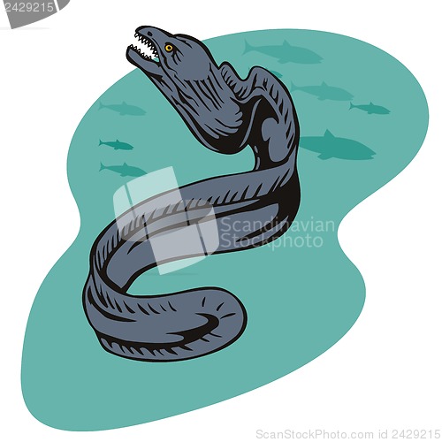 Image of Moray Eel Retro