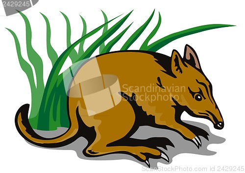 Image of Bandicoot Bush Retro