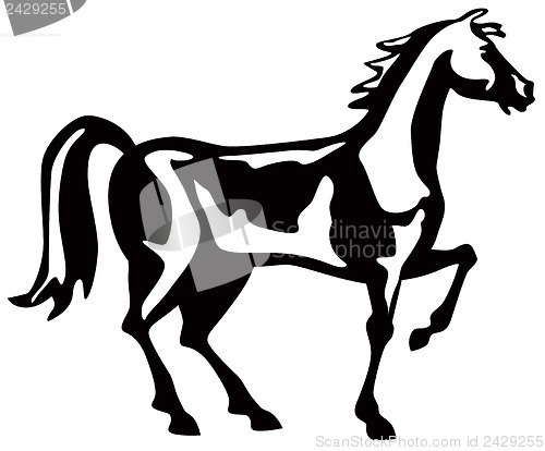 Image of Horse Retro