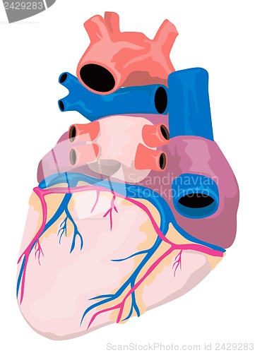 Image of Heart Organ Retro