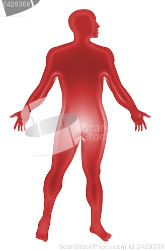Image of Male Human Anatomy Outline Red