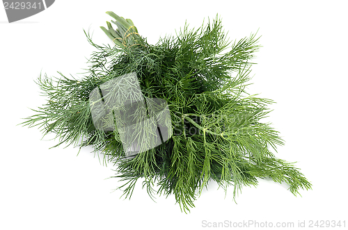 Image of Dill