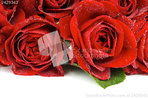 Image of Red Roses Frame