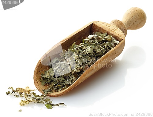 Image of wooden scoop with oregano