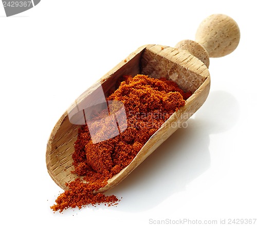 Image of wooden scoop with paprika powder
