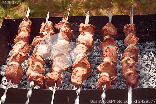 Image of Shish kebab on the metal skewers