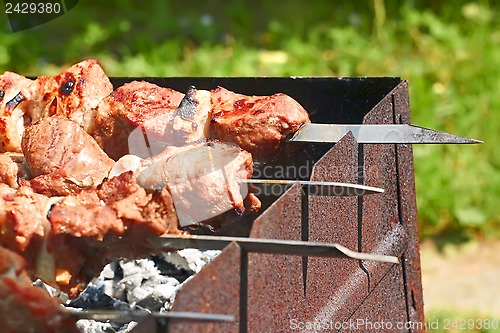 Image of Preparation of shish kebab