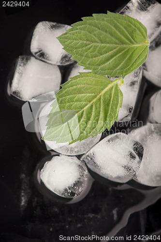 Image of Ice cubes isolated on black