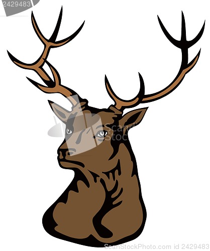 Image of Stag Head
