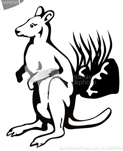 Image of Wallaby