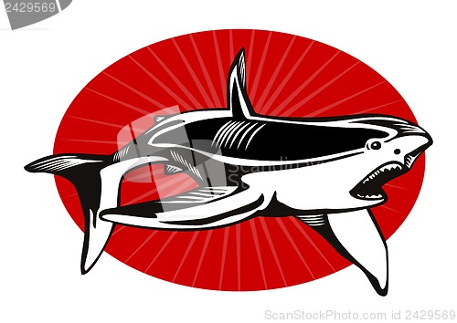 Image of Shark Attacking