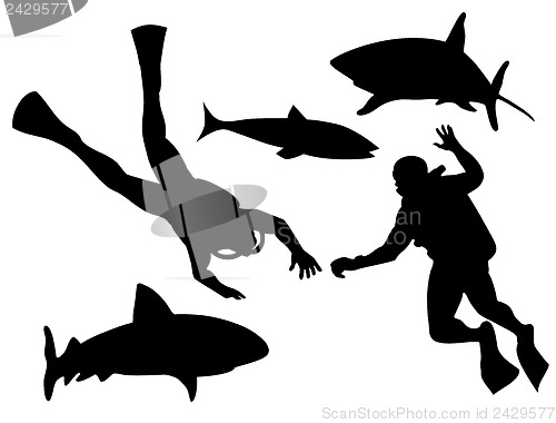 Image of Scuba Divers and Sharks Silhouette