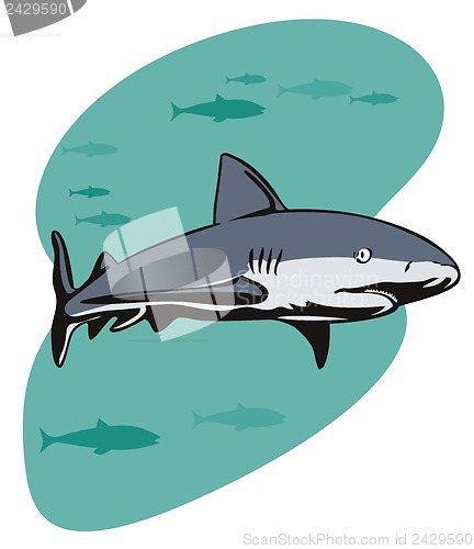 Image of Shark Swimming Side View