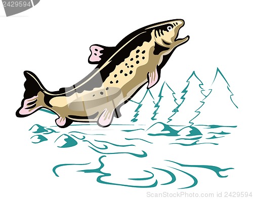 Image of Trout Fish Leaping