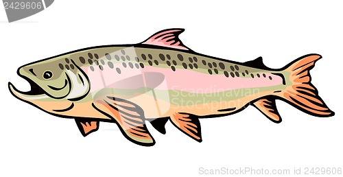 Image of Trout Fish Retro