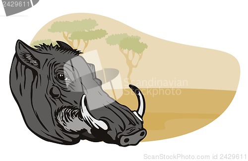 Image of Warthog Head