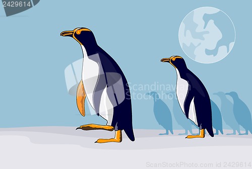 Image of Yellow Eyed Penguin