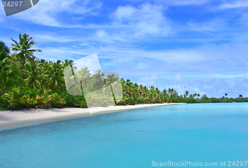 Image of Tropical Beach