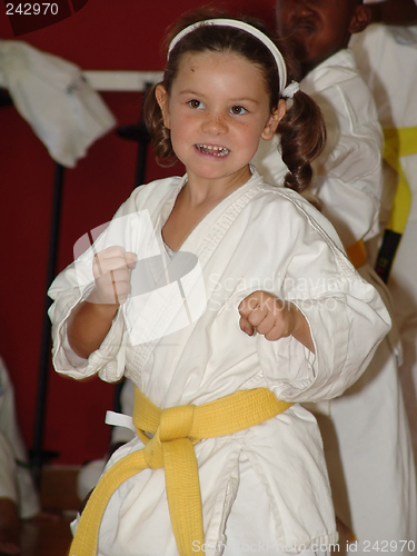 Image of karate girl