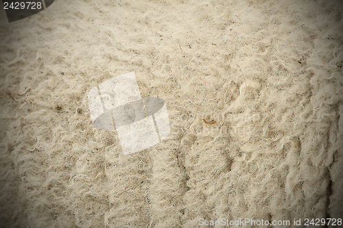 Image of white sheep fur with vignette