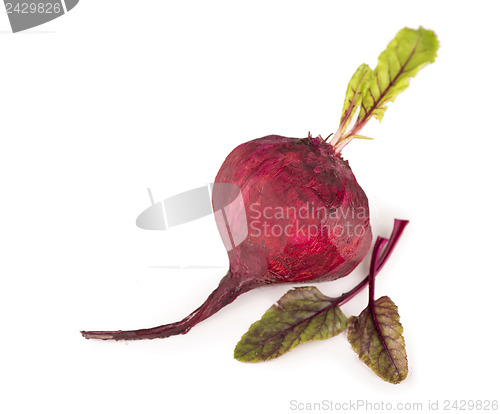 Image of beet with leaves