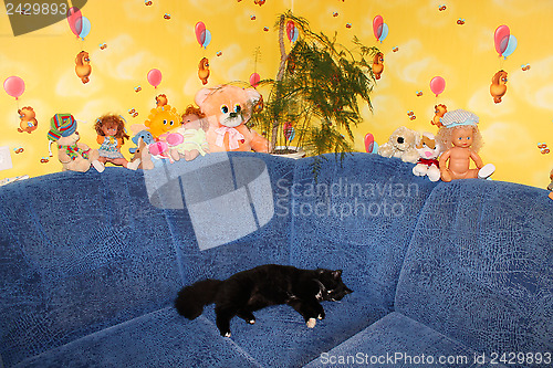 Image of Black cat on sofa in the children's room