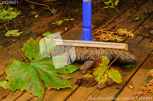 Image of Sweeping leaves