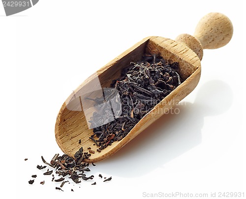 Image of wooden scoop with black tea